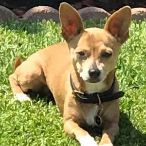 Meet your Posher, Marco